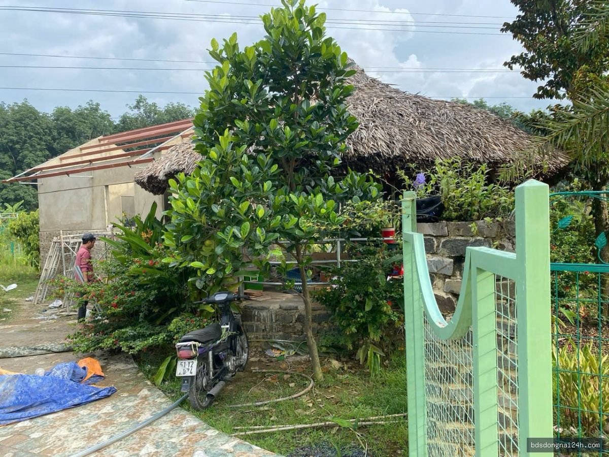 Bán biệt thự tại Vĩnh Cửu (1216m²) - Hình ảnh 13