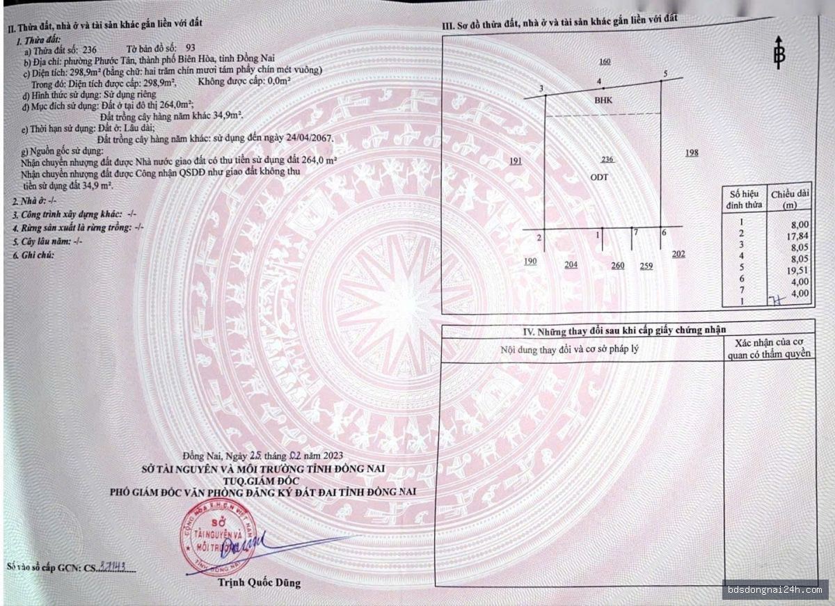 Bán đất nền mặt tiền tại Long Thành (256m²) - Hình ảnh 4