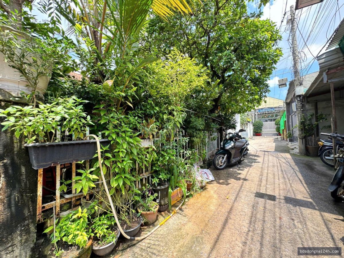 Bán Lô Đất Biệt Thự Mini P. Tam Hiệp, TP. Biên Hòa