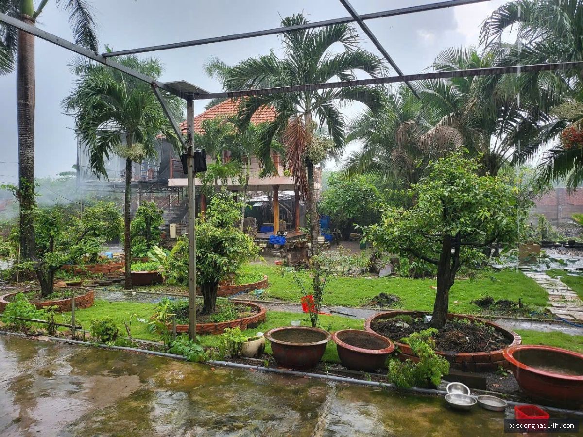 Bán biệt thự tại Long Thành - Hình ảnh 5