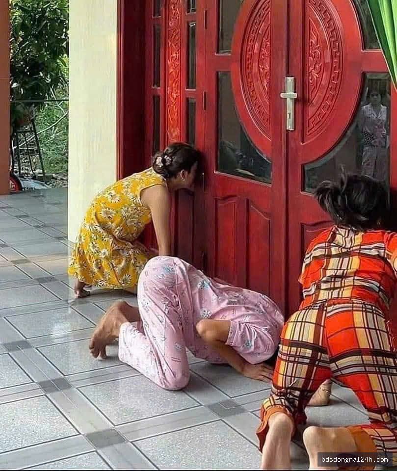 Hình ảnh bất động sản