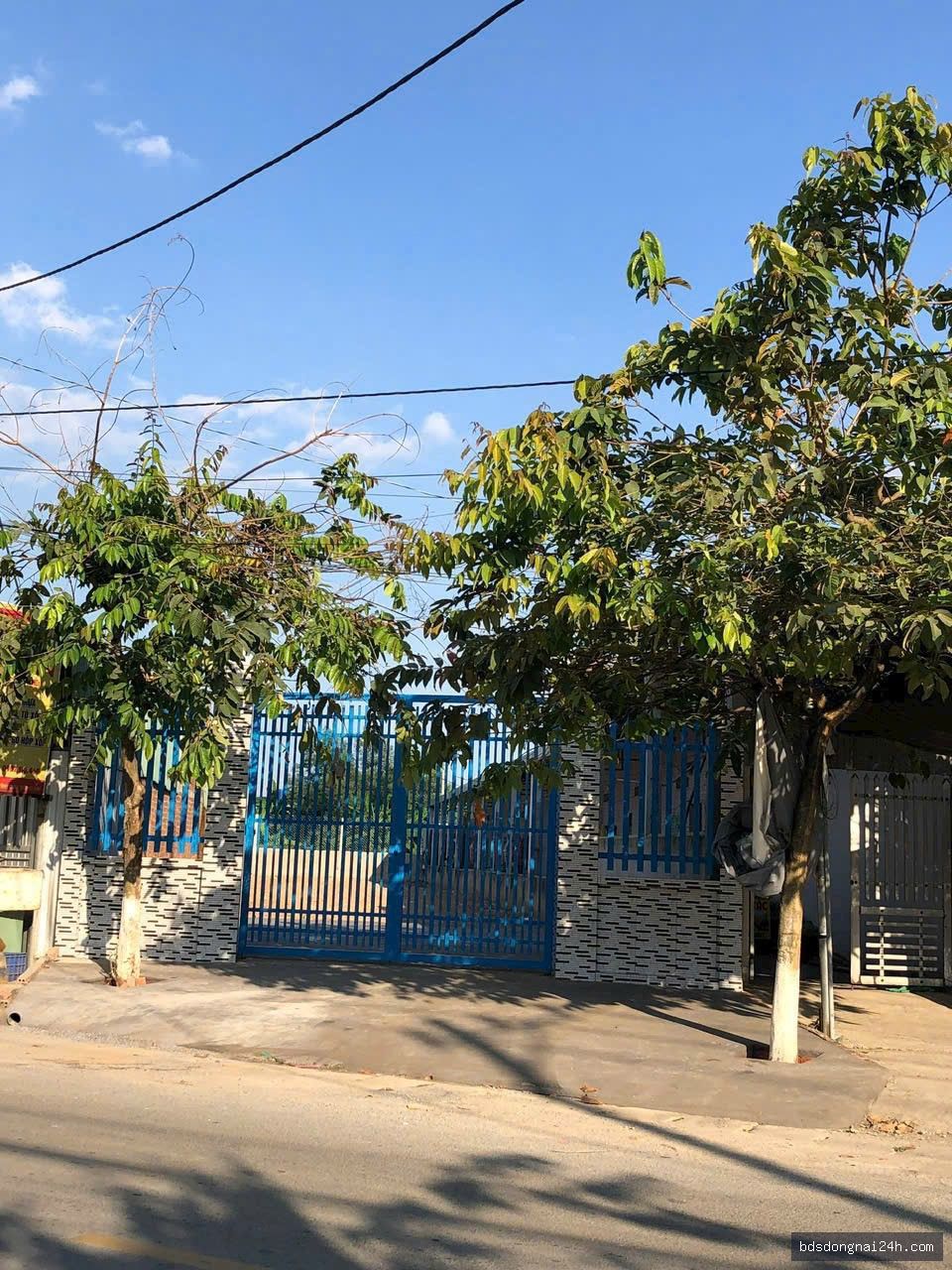 Bán đất nền tại Tân Triều - Hình ảnh 1