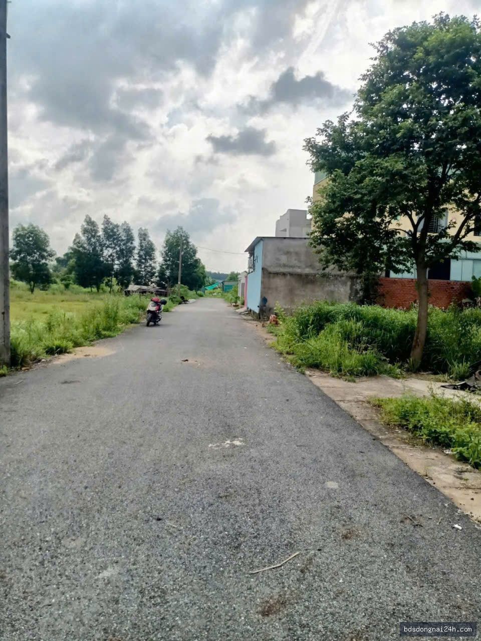 Bán đất nền (100m²) - Hình ảnh 5