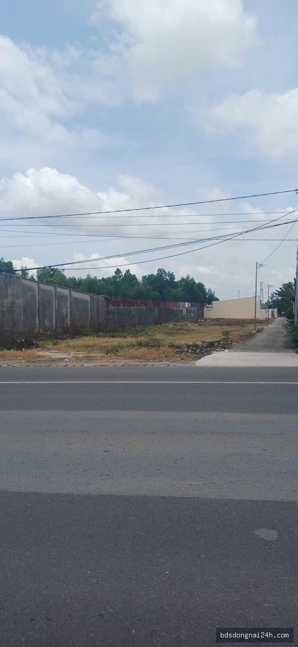 Bán kho xưởng mặt tiền (900m²) - Hình ảnh 4