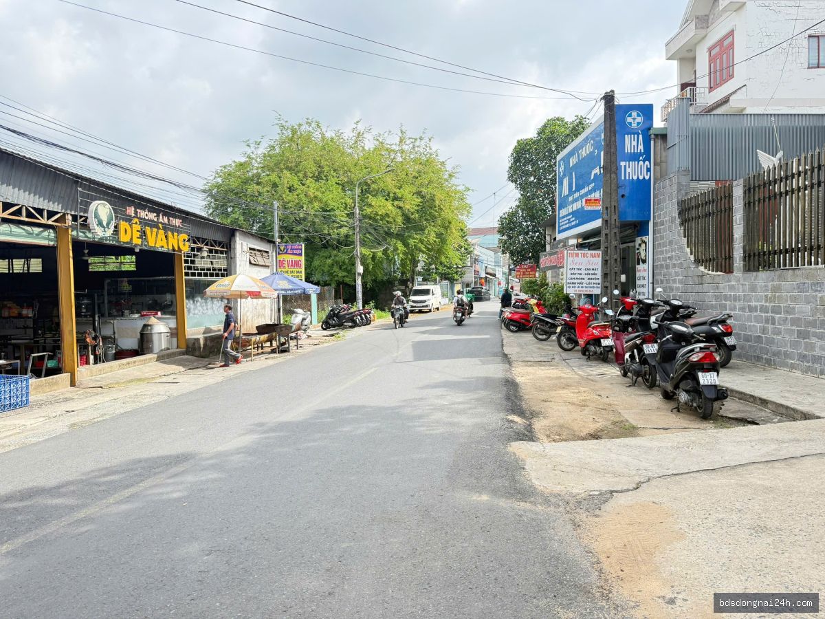 Bán mặt bằng kinh doanh mặt tiền tại Tân Triều (75m²) - Hình ảnh 14