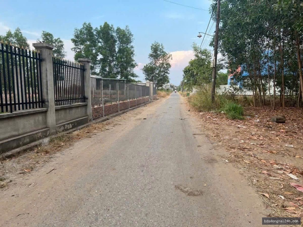 Bán đất nền (115m²) - Hình ảnh 2