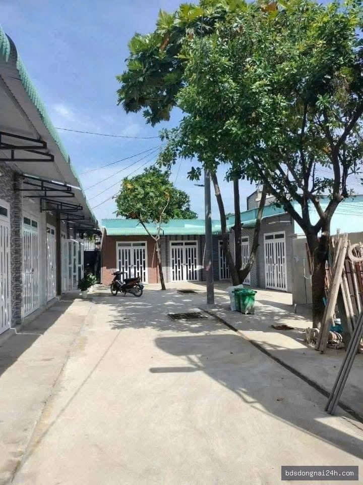 Cho thuê đất nền gần chợ - Hình ảnh 4