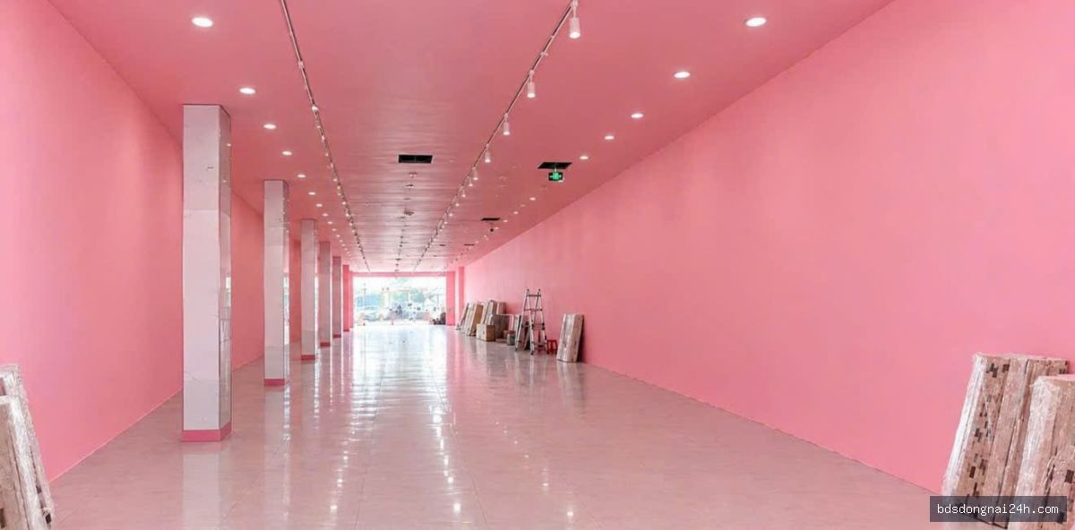 Cho thuê mặt bằng kinh doanh, gần vincom tại Tam Hiệp, Biên Hòa - Hình ảnh 3