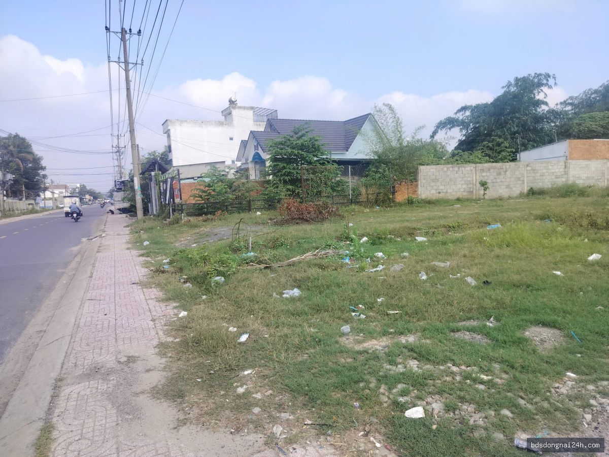 Bán bất động sản (195m²) - Hình ảnh 3