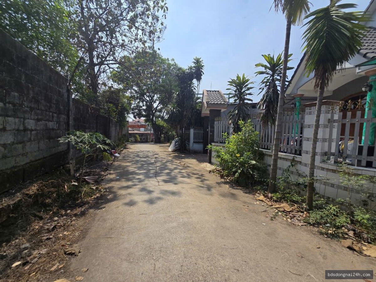 Bán đất nền (1120m²) - Hình ảnh 2