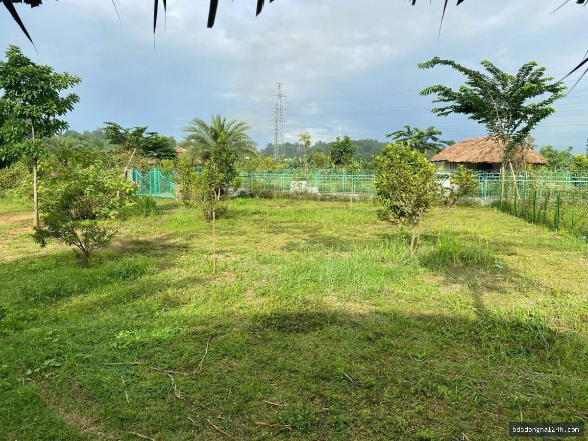 Bán biệt thự tại Vĩnh Cửu (1216m²) - Hình ảnh 6