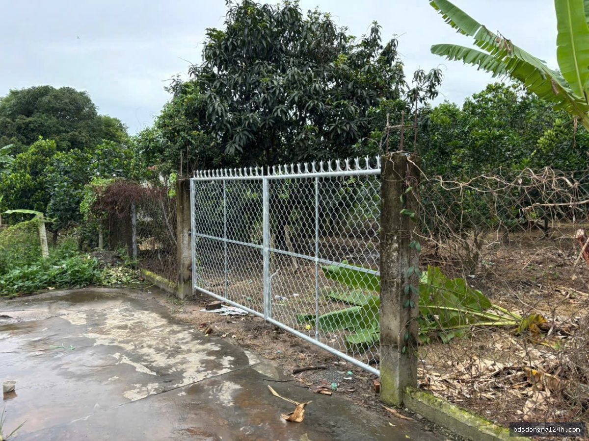 Bán bất động sản tại Trảng Dài, Biên Hòa (585m2)