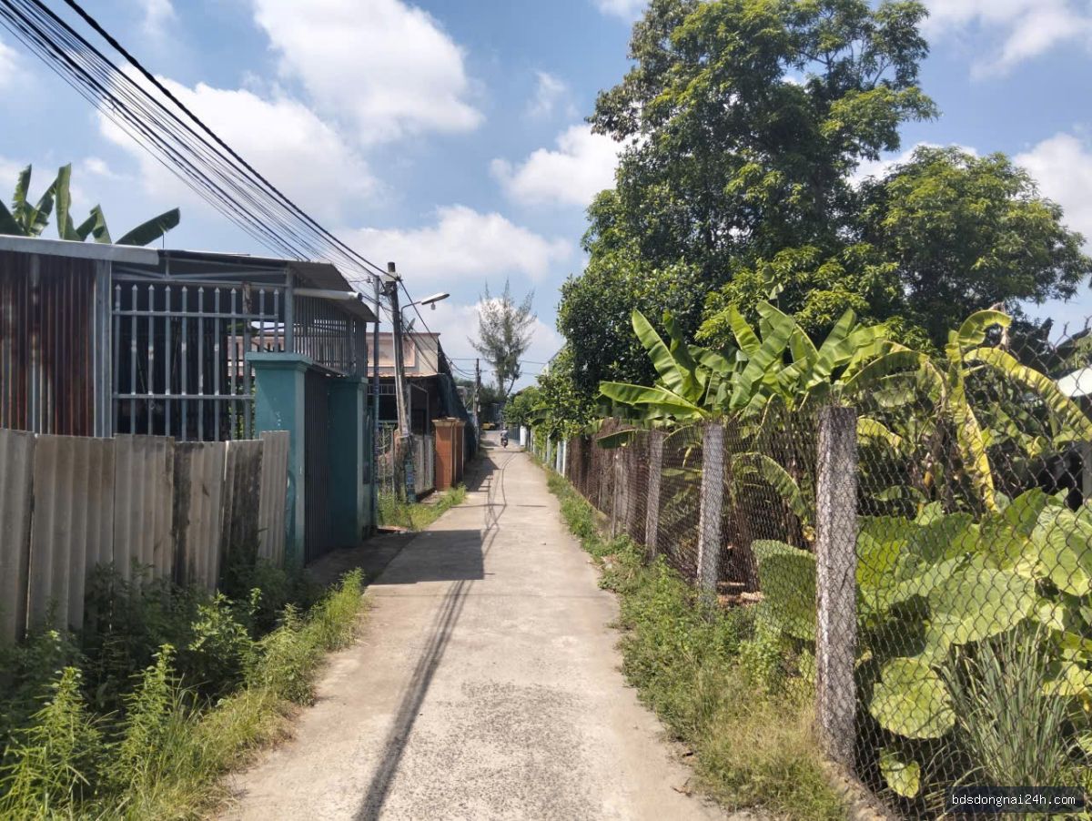 Bán đất thổ cư 100% tại Nhơn Trạch (145m²)