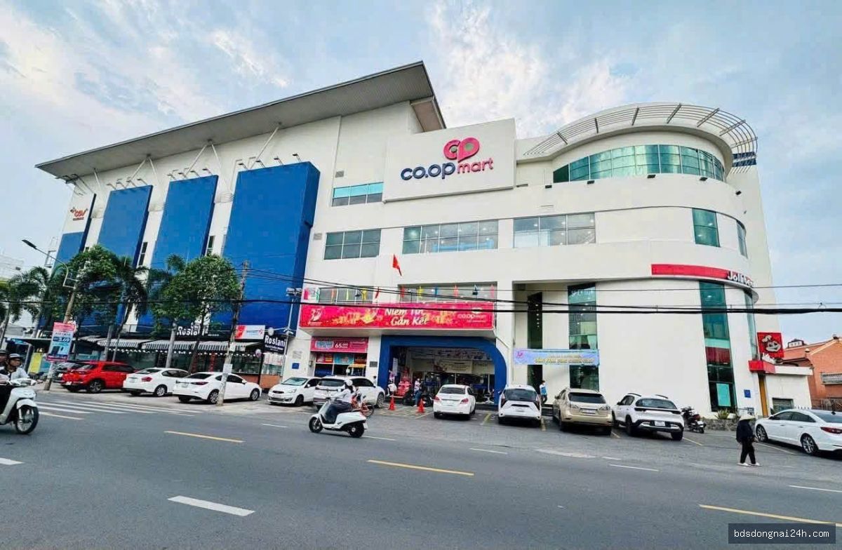 Bán bất động sản, gần chợ tại Tam Hiệp, Biên Hòa (90m²) - Hình ảnh 1