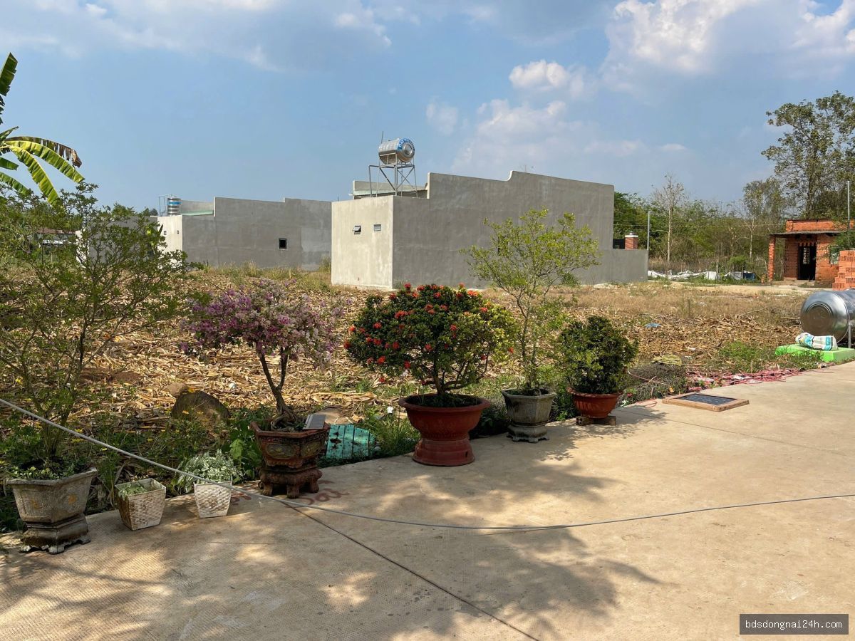 Bán đất nền gần chợ (105m²) - Hình ảnh 7