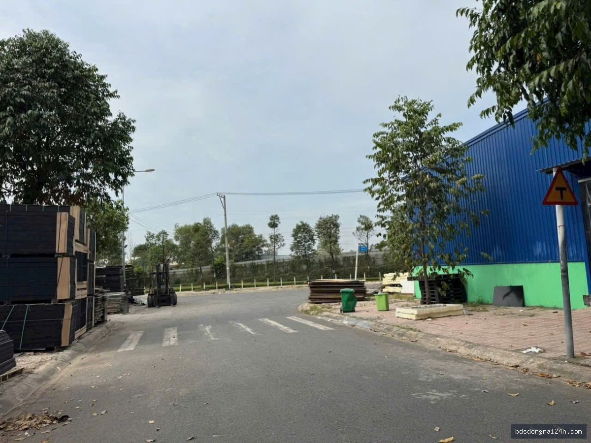 Bán đất tái định cư tại Long Thành - Hình ảnh 4
