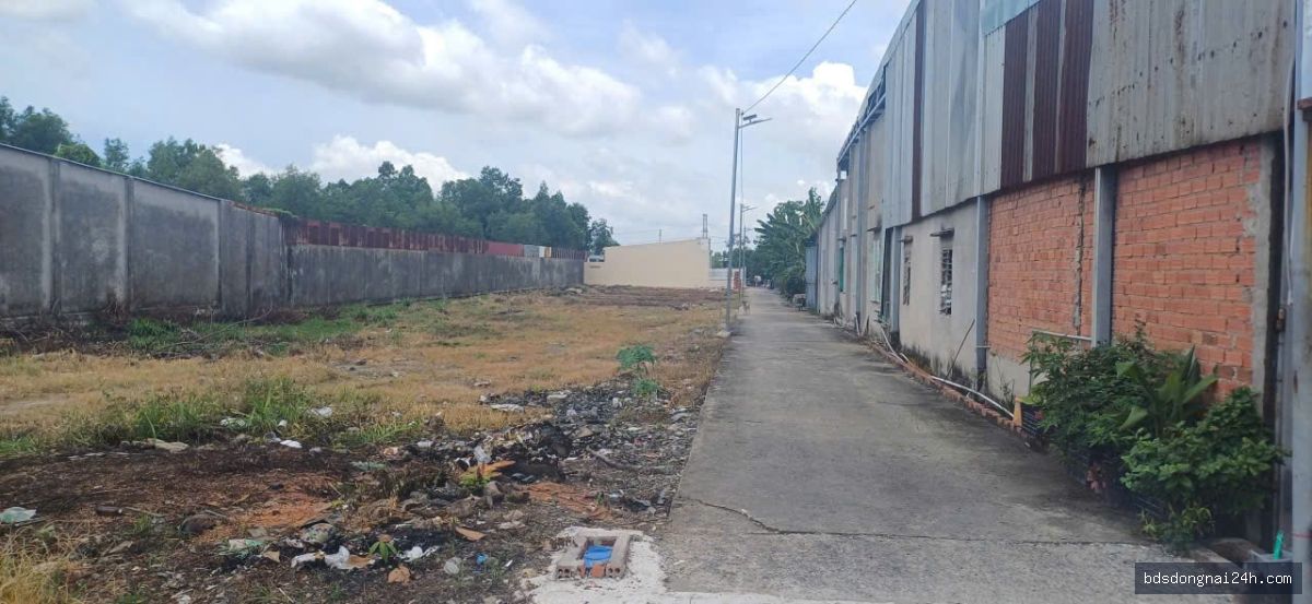 Bán kho xưởng mặt tiền (900m²) - Hình ảnh 2