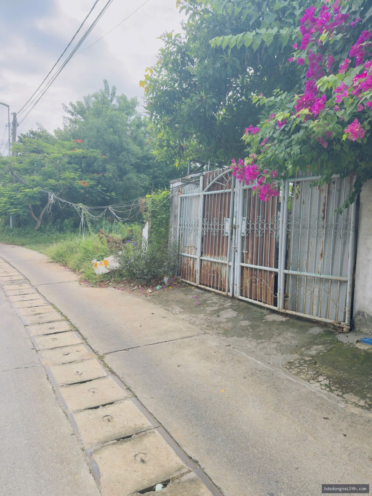 Bán đất nền mặt tiền - Hình ảnh 4