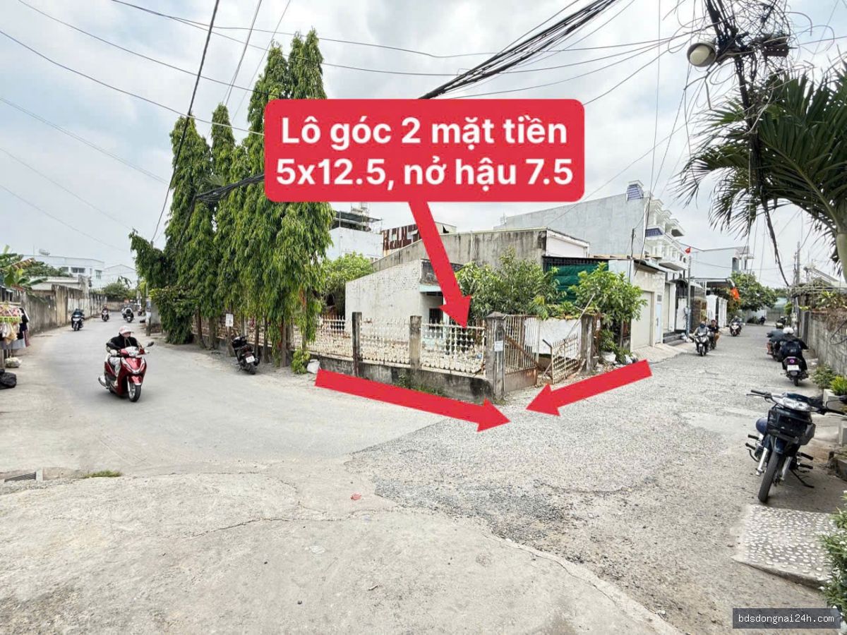 Bán cặp đất nền tại Tân Phong, Biên Hòa (85.5m²) - Hình ảnh 21
