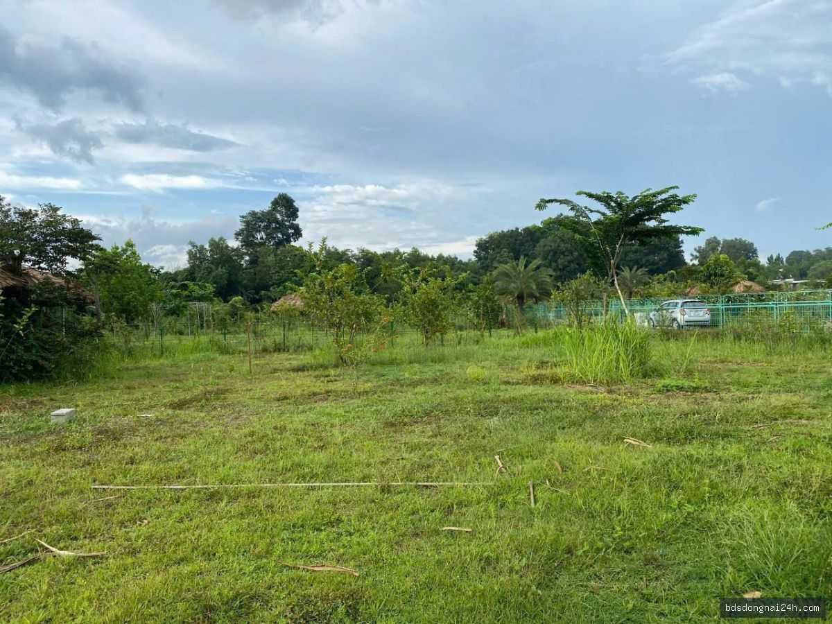 Bán biệt thự tại Vĩnh Cửu (1216m²) - Hình ảnh 8