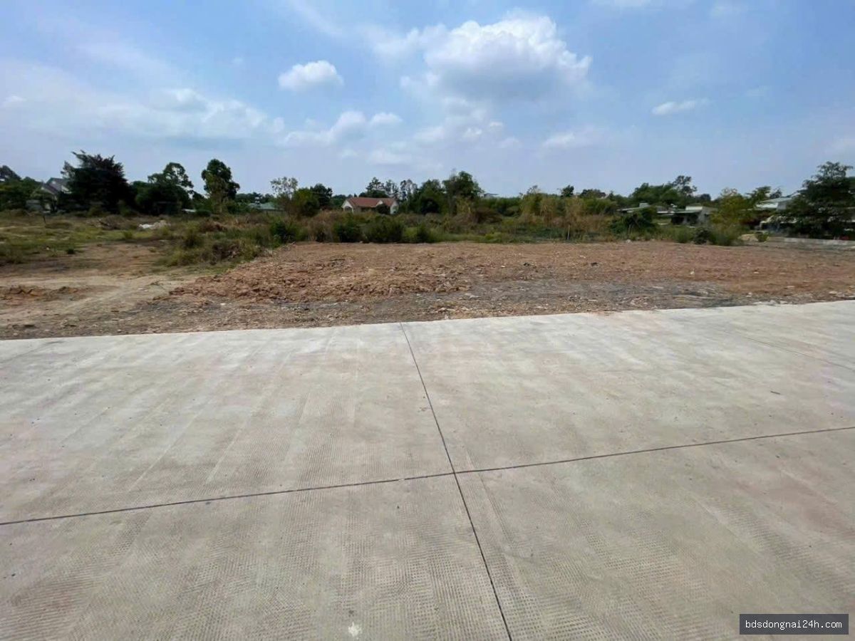 Bán đất nền tại Trảng Bom (100m²) - Hình ảnh 4