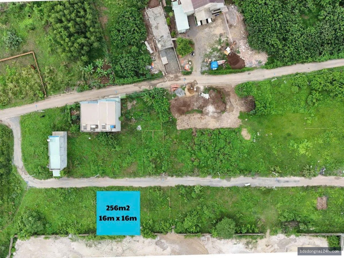 Bán đất nền mặt tiền tại Long Thành (256m²)
