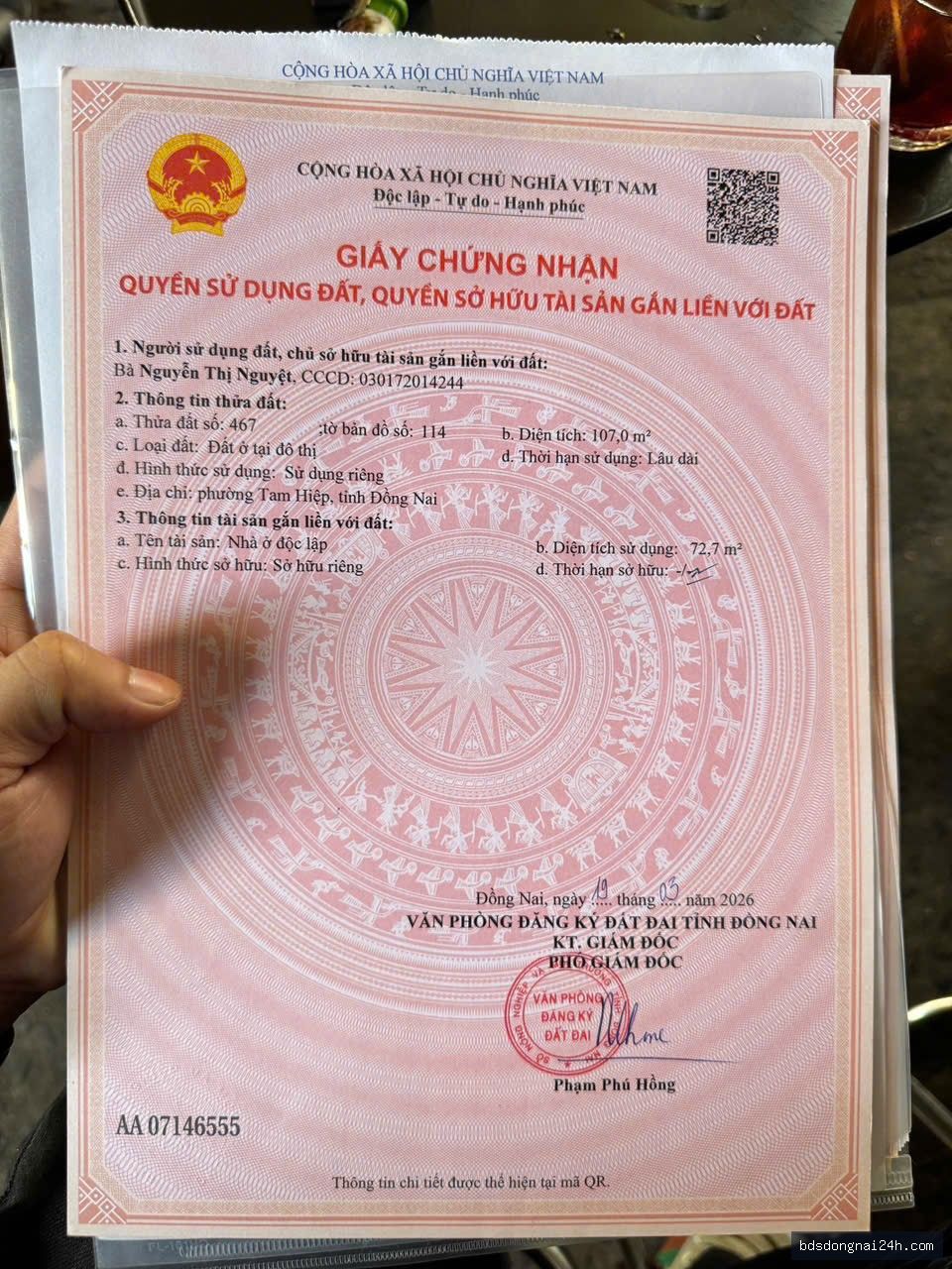 Nổi bật