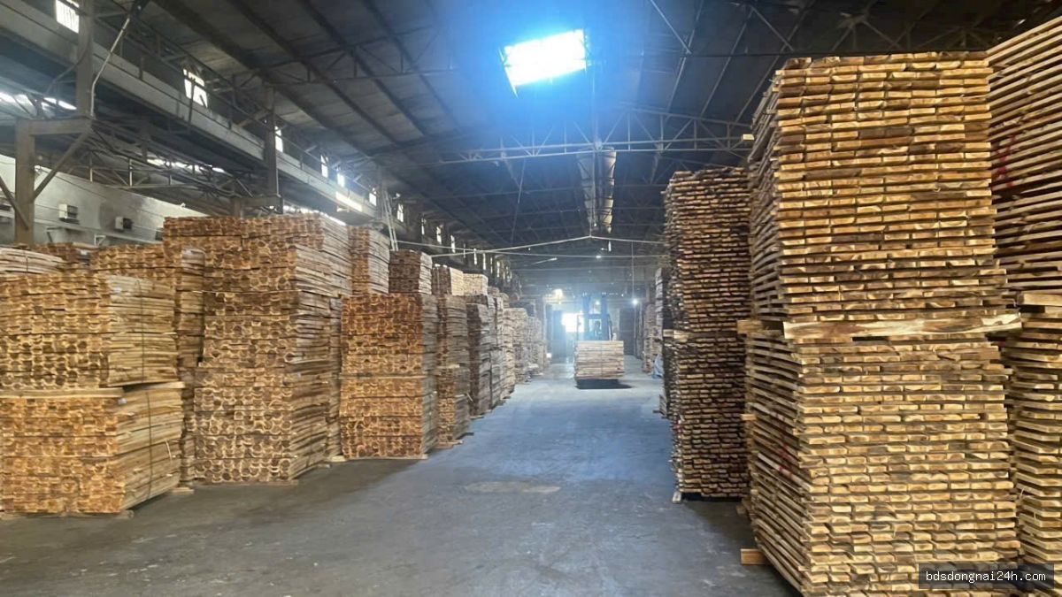 Cho thuê kho xưởng tại Hố Nai, Biên Hòa (5300m2) - Hình ảnh 8
