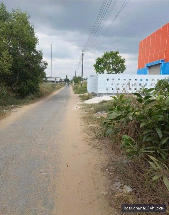 Bán đất nền (115m²) - Hình ảnh 4