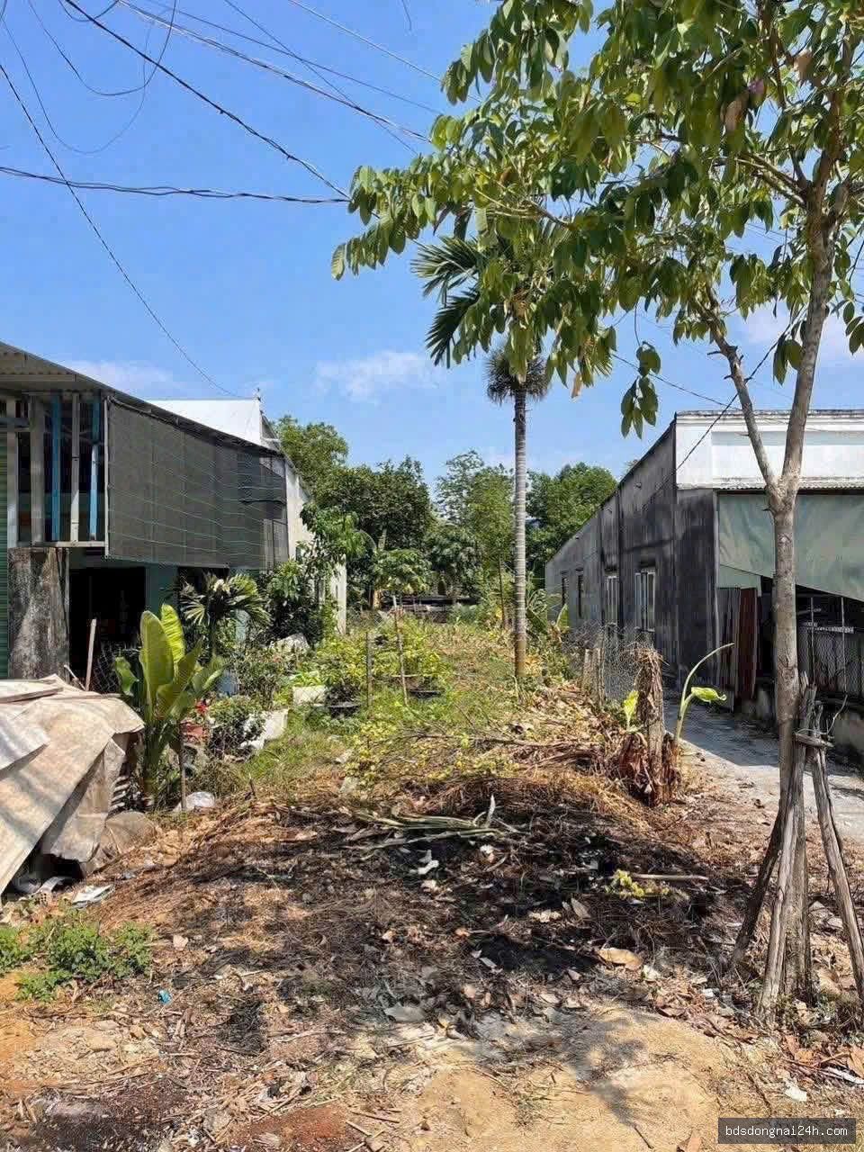 Bán đất nền mặt tiền tại Vĩnh Cửu (175m²) - Hình ảnh 2