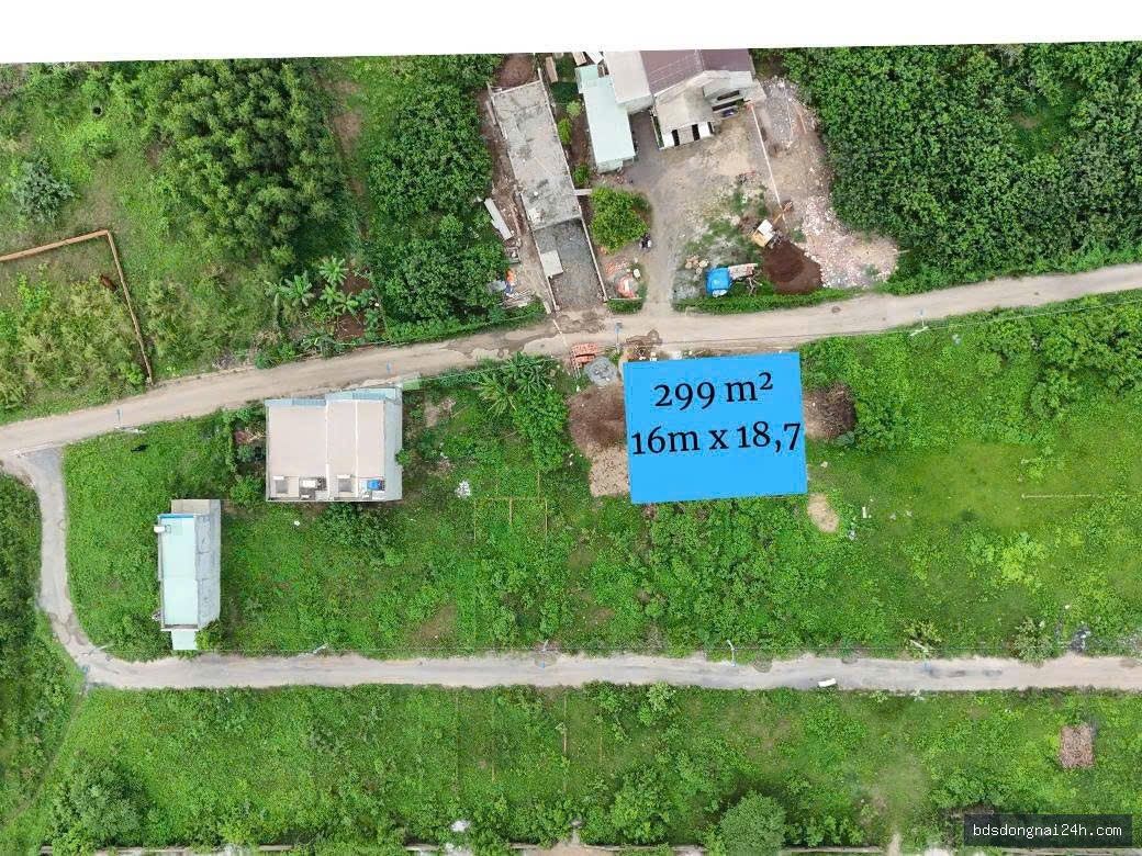 Bán đất nền mặt tiền tại Long Thành (256m²) - Hình ảnh 2