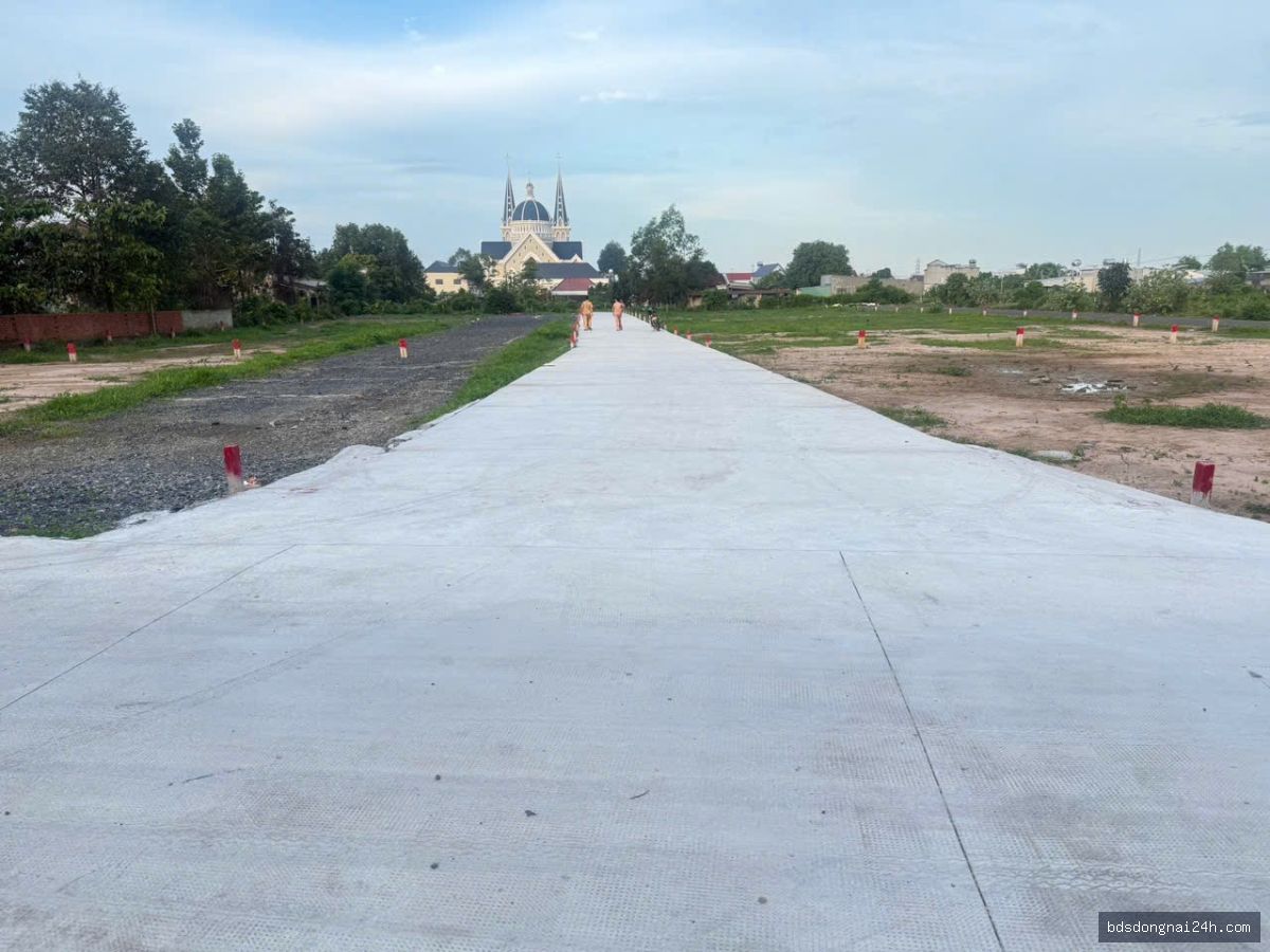 Bán đất nền tại Long Thành - Hình ảnh 6