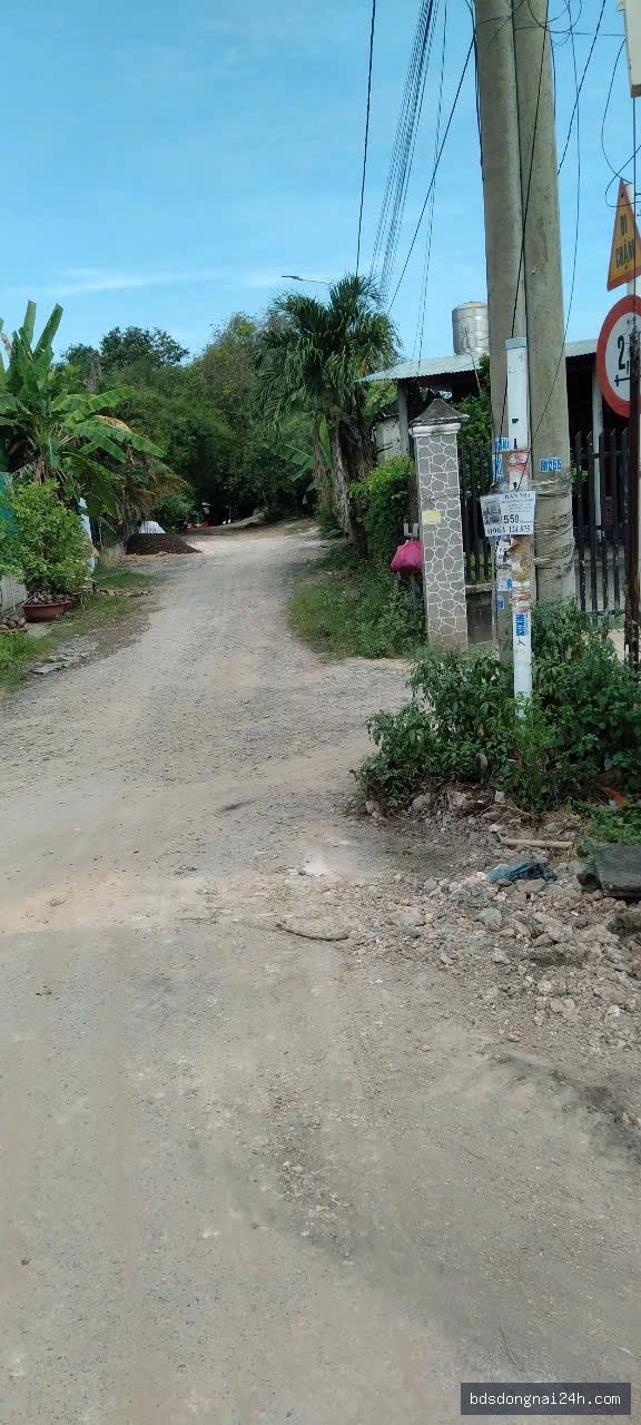 Bán đất nền (450m²) - Hình ảnh 4