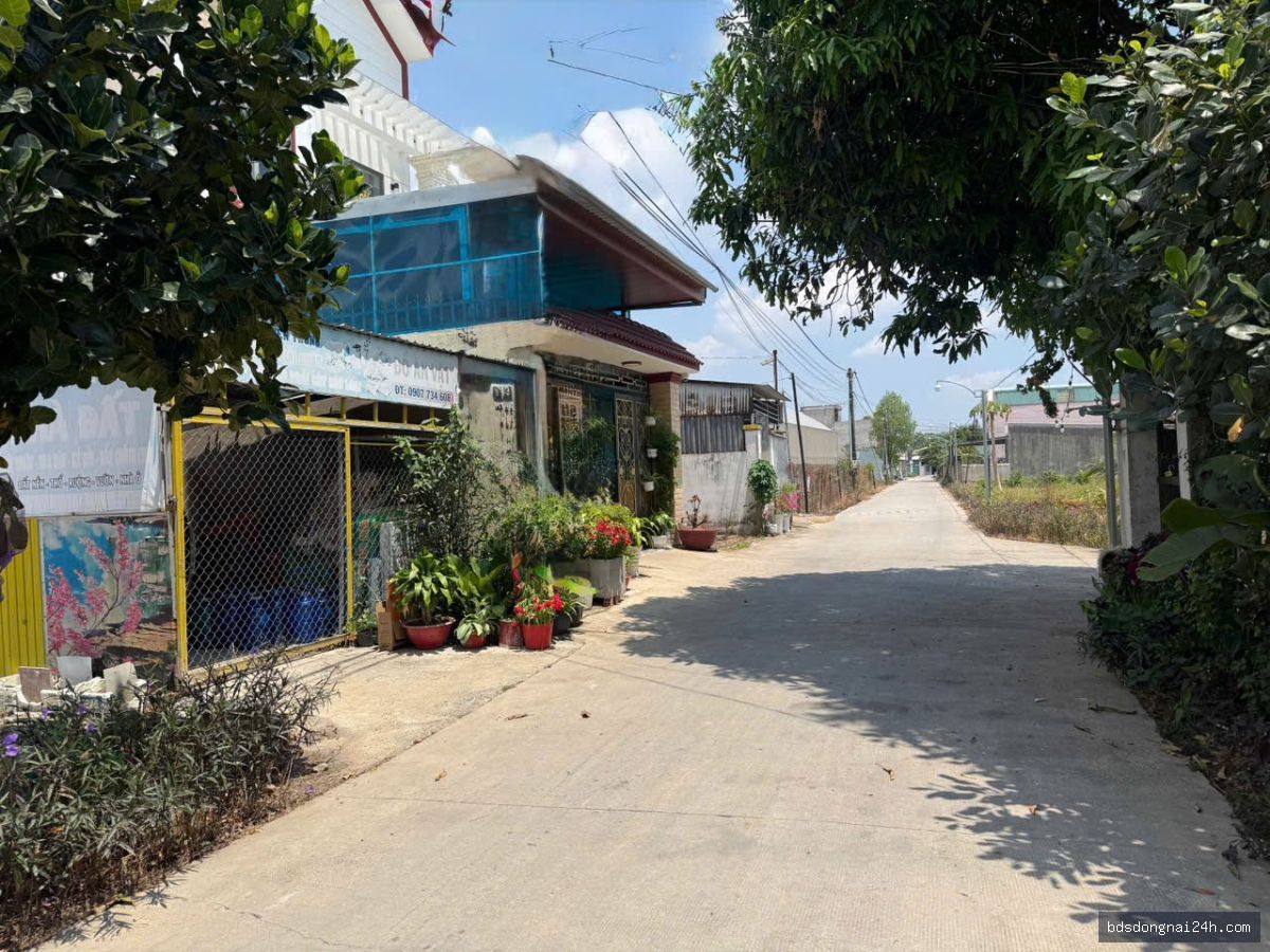 Bán đất nền mặt tiền (115.6m²) - Hình ảnh 6