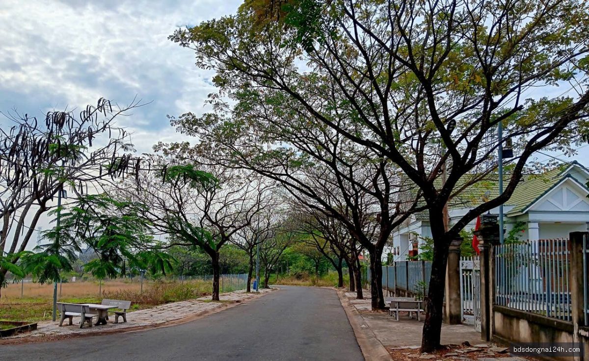 Bán bất động sản - Hình ảnh 4