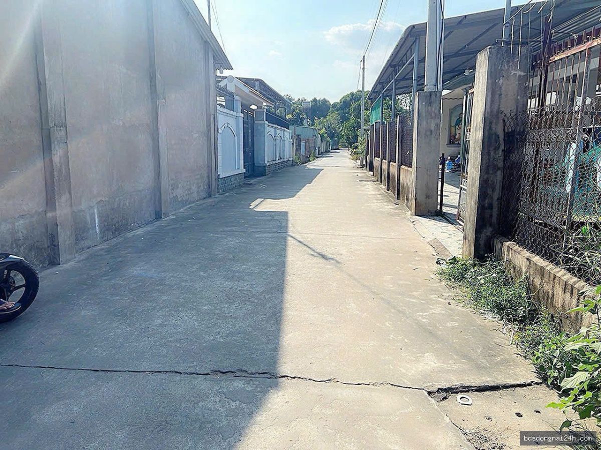 Bán đất nền gần chợ tại Nhơn Trạch - Hình ảnh 3