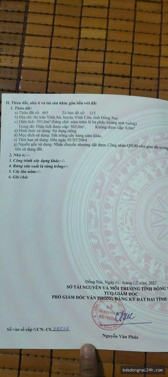 Bán đất nền - Hình ảnh 8