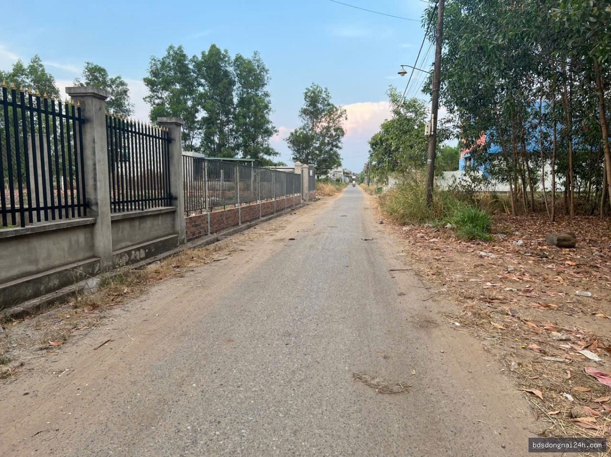 Bán đất nền (115m²) - Hình ảnh 2