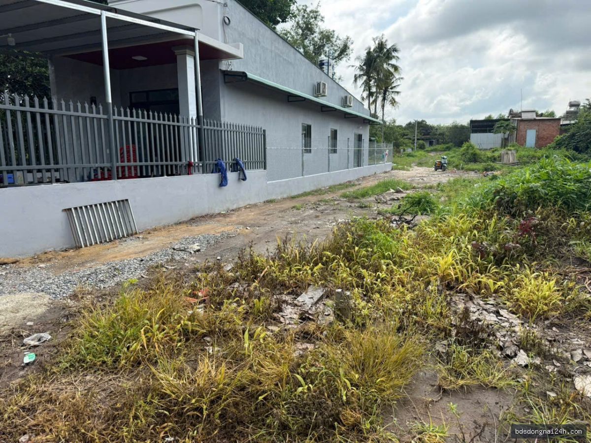 Bán đất nền tại Tân Hiệp, Biên Hòa (165m²) - Hình ảnh 2
