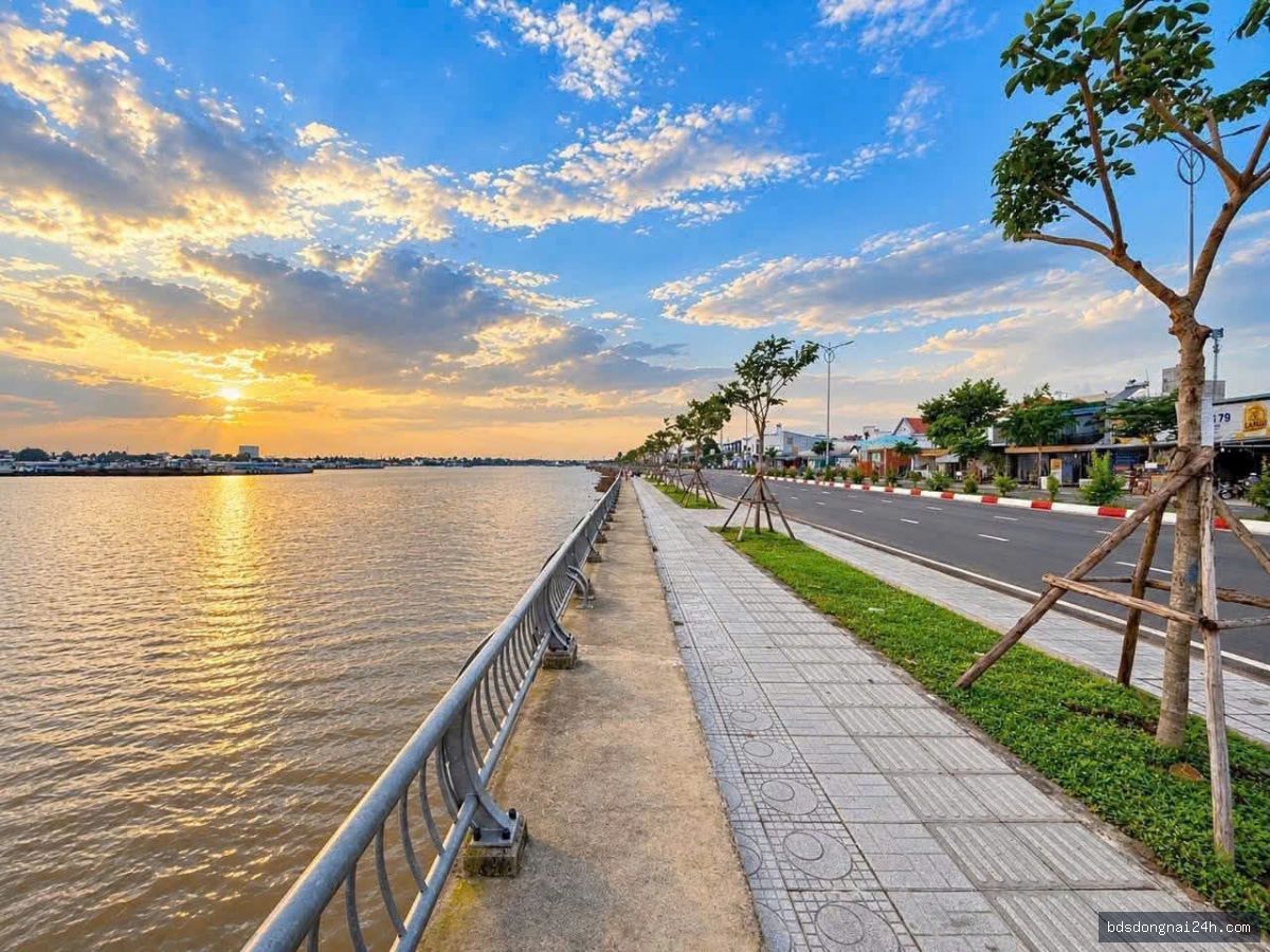 Nổi bật